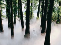 -东湖落雁景区