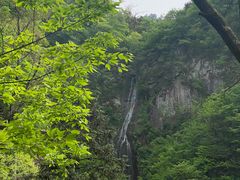 -燕子河大峡谷天坑仙境