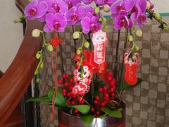 -上海大宁福朋喜来登酒店大堂吧(共和新路店)