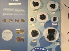 -浙江自然博物院(杭州馆)