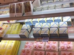 -蒲公英(五里店)