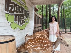 -南戴河国际娱乐中心