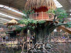 -南宫五洲植物乐园