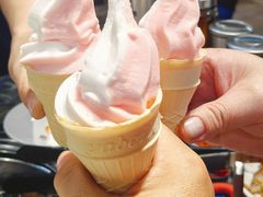 -33韩式自助烧烤(环城南路店)