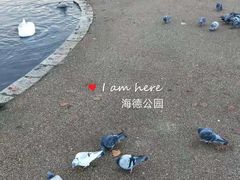 -海德公园