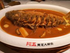 -阿五黄河大鲤鱼(英协路店)