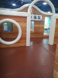点击看大图 -宝贝王(天津滨海店)