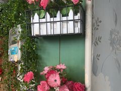 -金三可市井水煮鱼(金碧园店)