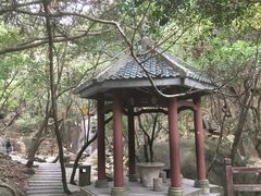 -清溪森林公园
