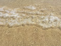 -亚龙湾海底世界