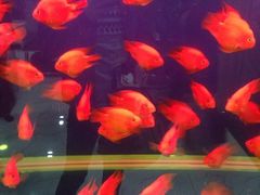 绿岛汤泉韩式休闲会所-绿岛汤泉韩式休闲会所
