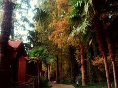 -上海怡沁园度假酒店