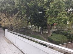 -中央公园(苏州工业园区)