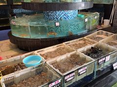 -鹏城人家海鲜酒家·23年老字号(较场尾店)
