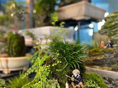 -川旺角川粤融合菜•海景餐厅(星海广场店)