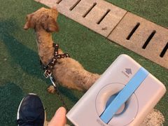 -燕青小馆(东园大厦店)