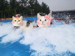 -欢乐水魔方水世界