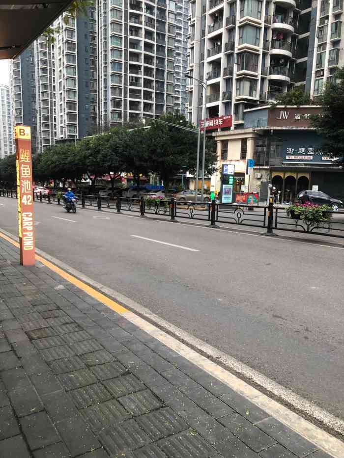 鲤鱼池路公交车站"7515三十二,在重庆…鲤鱼池路公交车站.