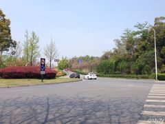 -美丽洲堂