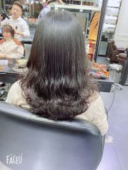-风向标WIND VANE SALON