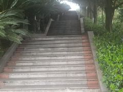 -重庆平顶山公园
