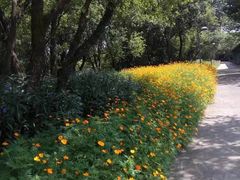 -西湖风景区-江洋畈生态公园