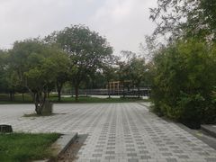 -白塘生态植物园