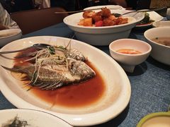 清蒸黄鳍鲷鱼-闽海肴(北辰荟店)