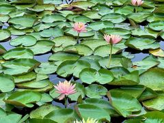 -白鹭湾湿地公园