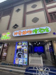 点击看大图 -神奇动物撸宠馆·羊驼·小浣熊·异宠(豫园店)