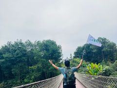 -铁山坪森林公园