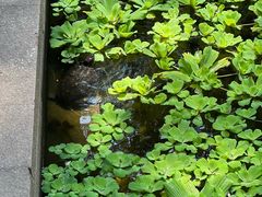 -宁波市保国寺古建筑博物馆