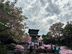 -茅山东方盐湖城景区