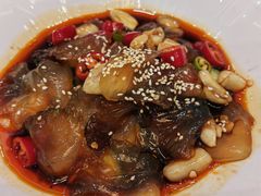 -鲍氏金勺子(恒大店)