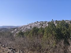 -白水寺森林公园