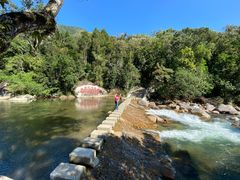 -海南热带雨林国家公园吊罗山景区