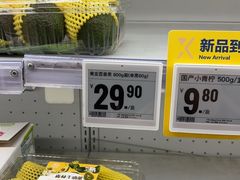 -盒马X会员店(上海森兰商都店)