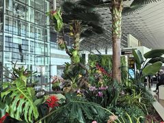-郑州新郑国际机场-T2航站楼