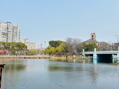 -新江湾城公园