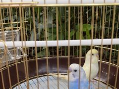 -宠爱我(南山店)