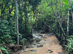 -西双版纳基诺山寨