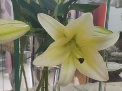 -思思·情景·养生Spa