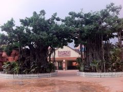 -蓬莱欧乐堡梦幻世界