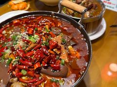 砂锅毛血旺-重庆石磨豆花庄(乔庄店)