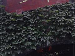 -三只耳火锅(宽窄巷子店)