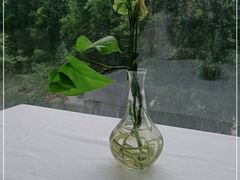 -大蓉和(双楠店)