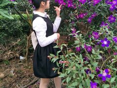 -松山湖梦幻百花洲