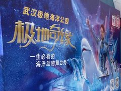 -海合安武汉极地海洋公园