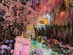 -正佳雨林生态植物园