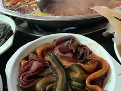 现划鳝鱼-储奇门鳝鱼火锅(总店)